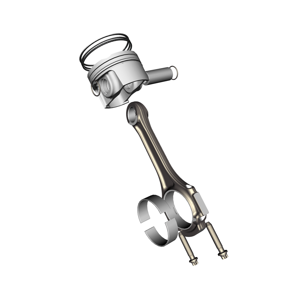 031602-30 Piston & Rods