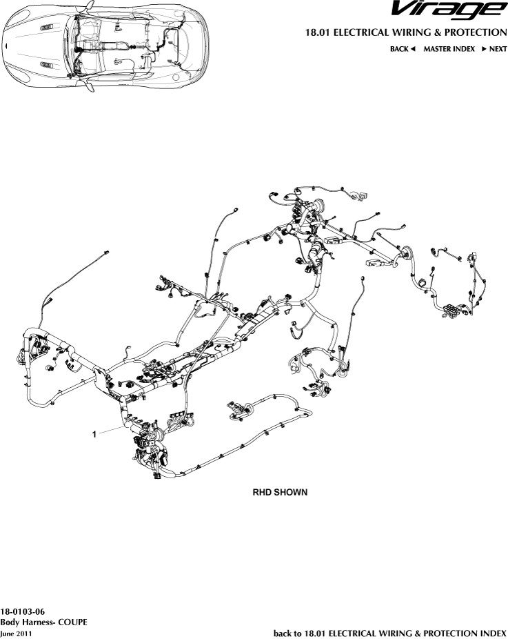 Body Harness, Coupe