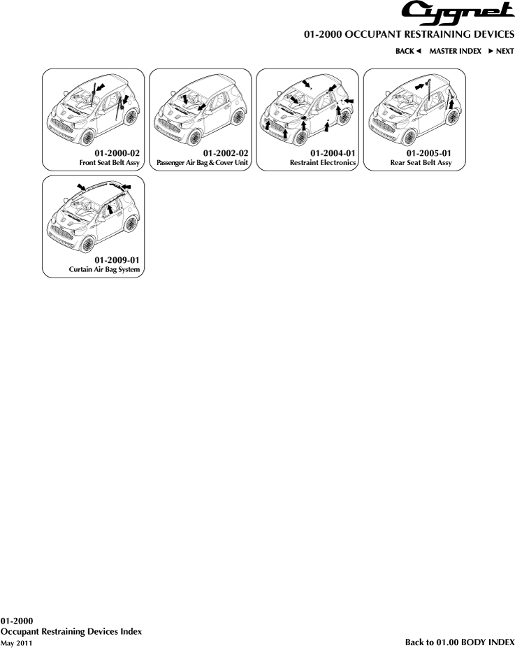 Occupant Restraining Devices