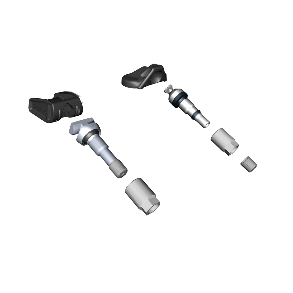 420101 TPMS Valves