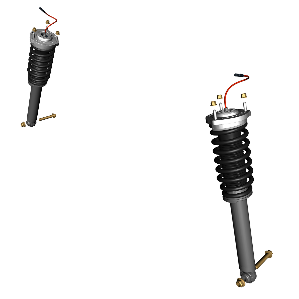 040300-20 Rear Spring/Damper