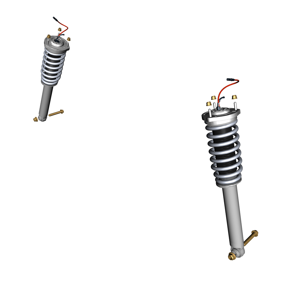 040300-20 Rear Spring/Damper