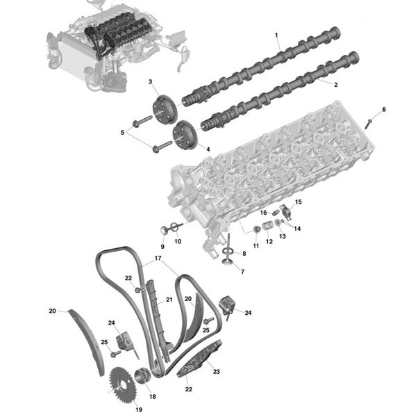 Image of TIMING CHAIN - V12 MODELS