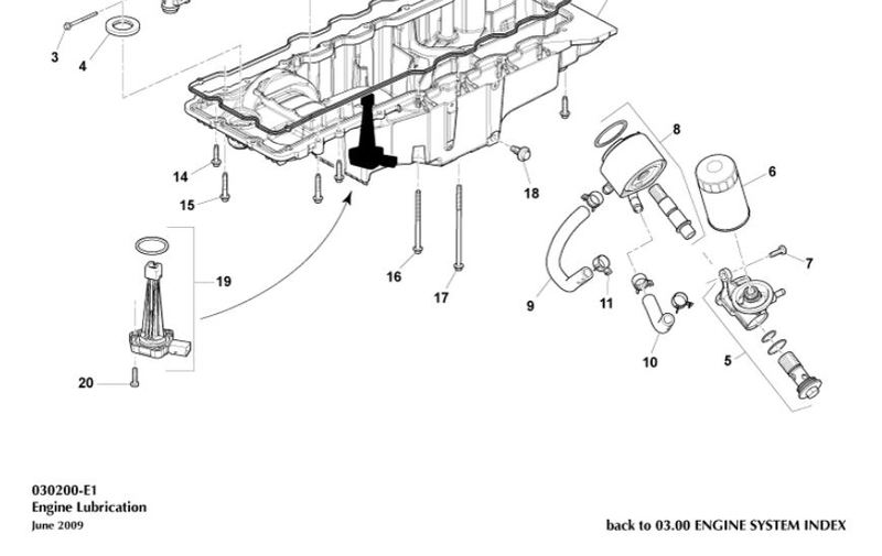 Image of OIL COOLER HOSE