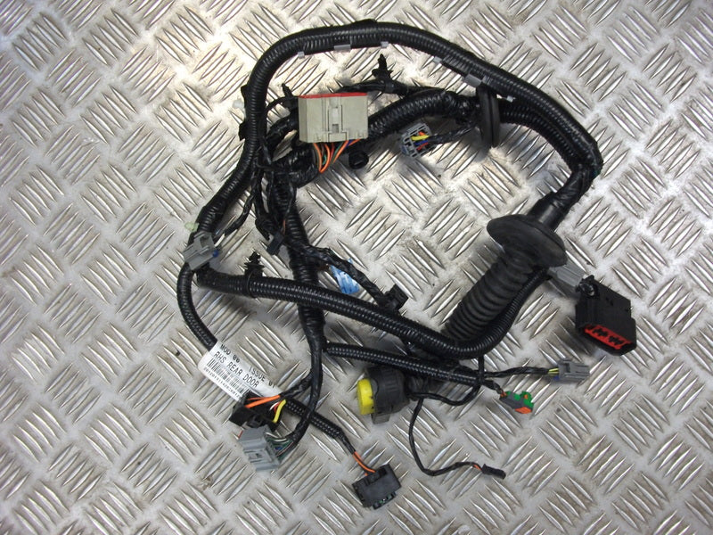 REAR RIGHT HAND DOOR WIRING LOOM HARNESS