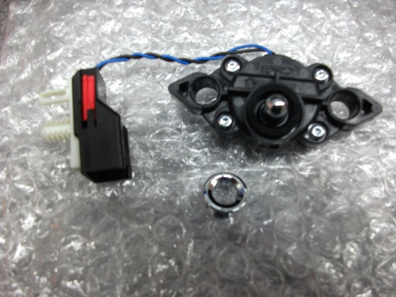TAILGATE EXTERIOR BOOT TRUNK RELEASE SWITCH