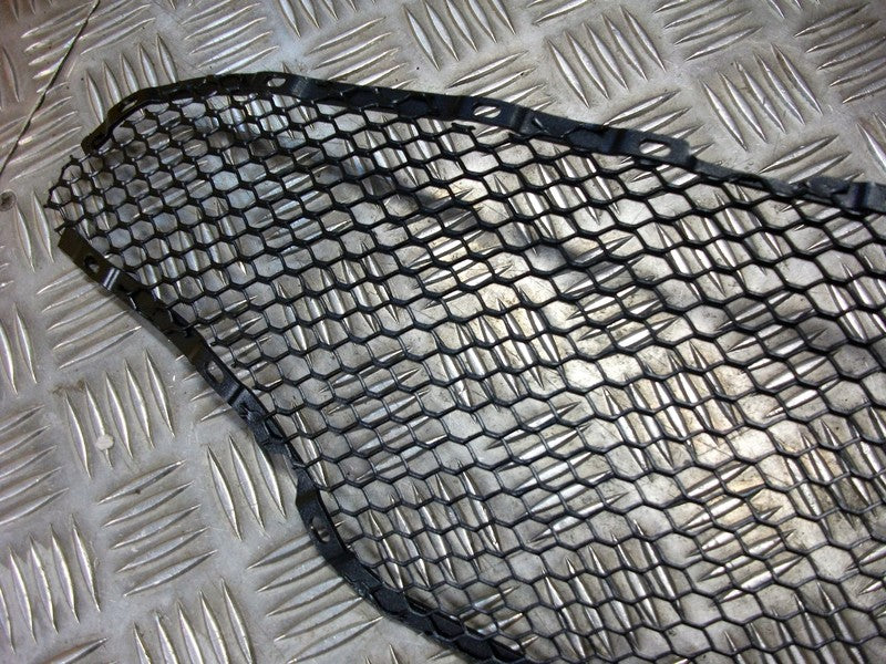 Image of FRONT GRILLE MESH PANEL V12S FEDERAL  BLACK