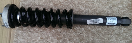 FRONT DAMPER WITH SPRING ASSEMBLY