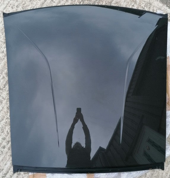Image of CARBON FIBRE ROOF PANEL