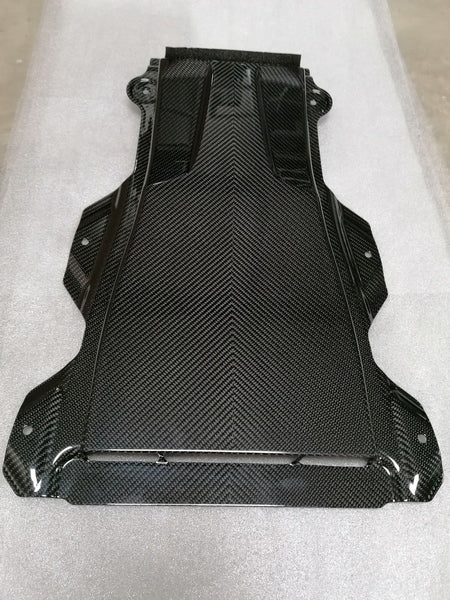 CARBON FIBRE V DUCT PANEL