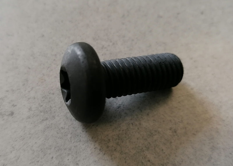 M10 X 25 TORQUE DRIVE BOLT
