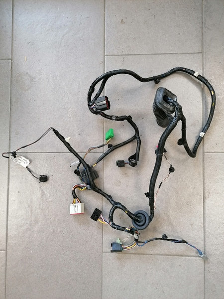 RIGHT HAND DRIVE RIGHT HAND DOOR HARNESS