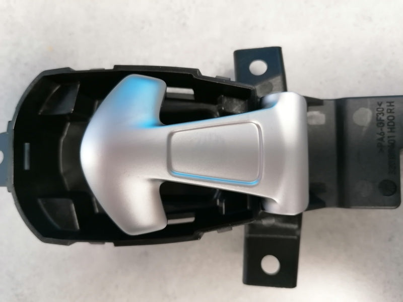 Image of RIGHT HAND SIDE INTERIOR DOOR PULL HANDLE ASSEMBLY