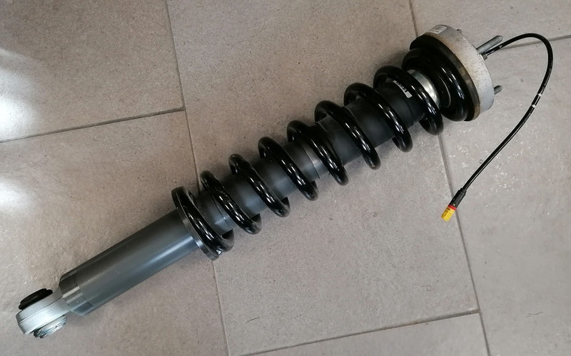 Image of SHOCK ABSORBER - REAR - ROADSTER S