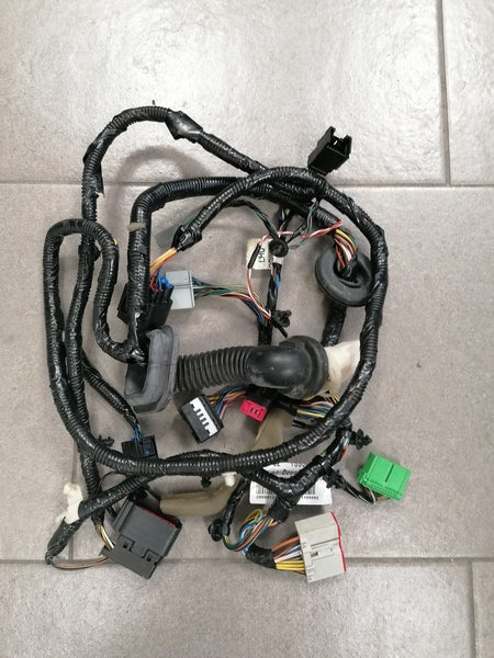 Image of DRIVERS DOOR WIRING HARNESS