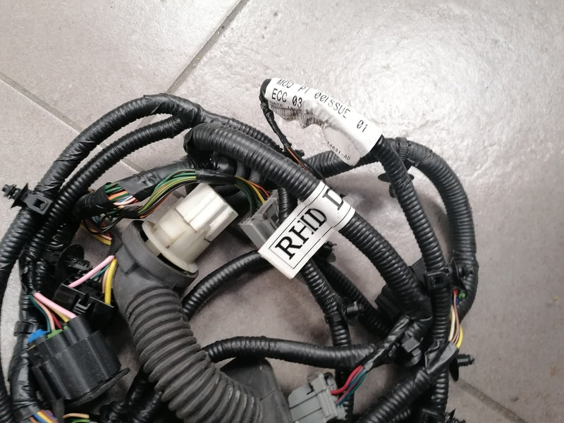 Image of DRIVERS DOOR WIRING LOOM