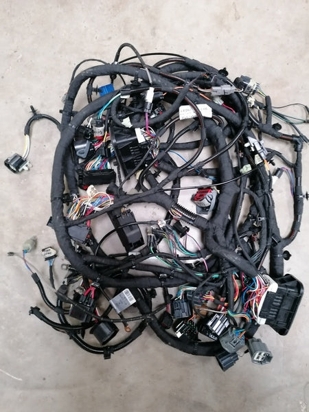 Image of FORWARD HARNESS LHD