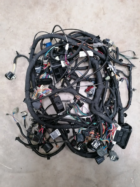 Image of FORWARD HARNESS LHD