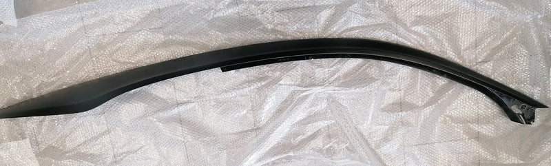 CARBON ROOF CANTRAIL MOULDING - RIGHT