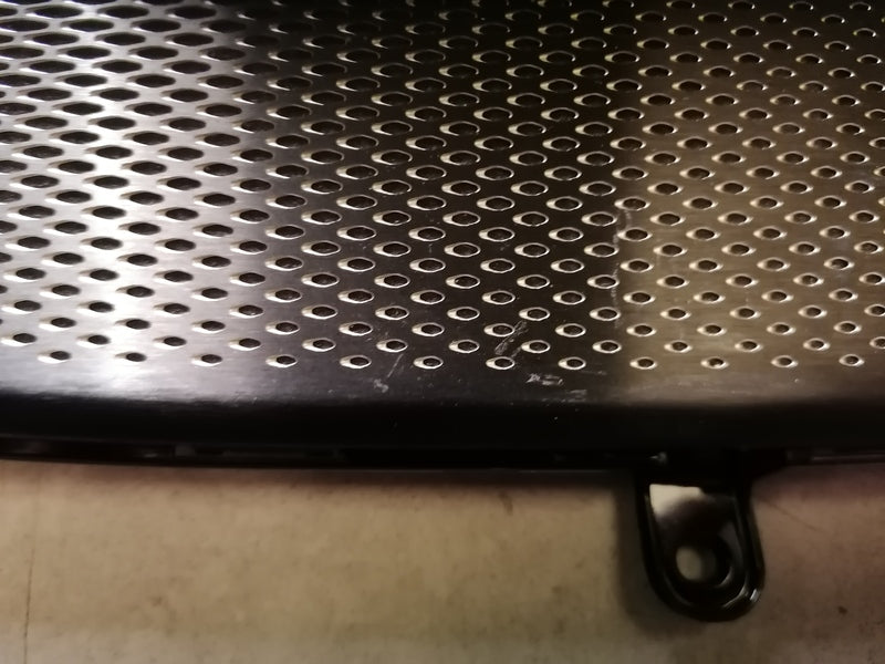 Image of LEFT FRONT DOOR SPEAKER GRILLE MESH