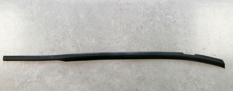 Image of LEFT FRONT DOOR MARGIN SEAL