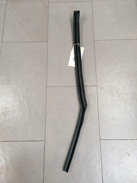 Image of LEFT REAR DOOR OUTER MARGIN SEAL