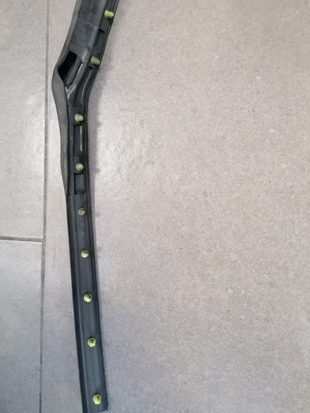 Image of LEFT REAR DOOR OUTER MARGIN SEAL