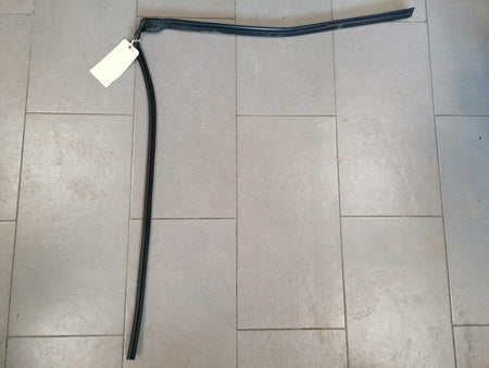 Image of LEFT REAR DOOR OUTER WAIST SEAL