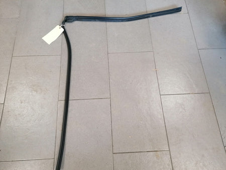 Image of LEFT REAR DOOR OUTER WAIST SEAL