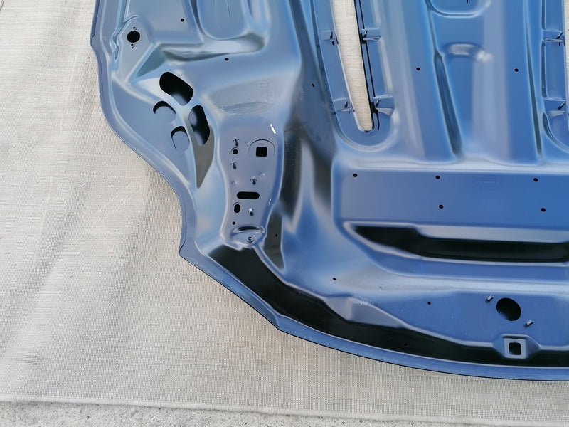 Image of BONNET HOOD ASSEMBLY