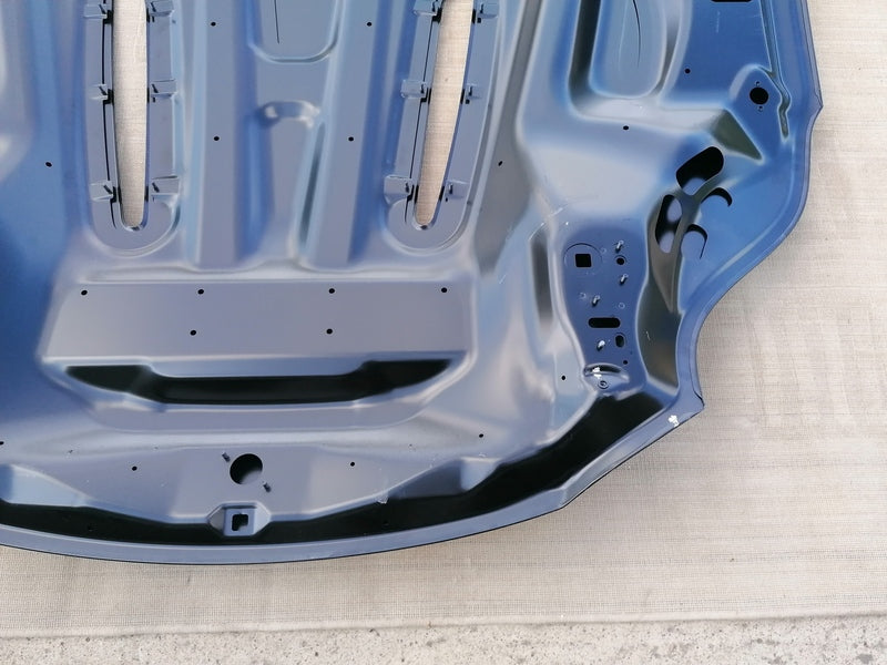 Image of BONNET HOOD ASSEMBLY