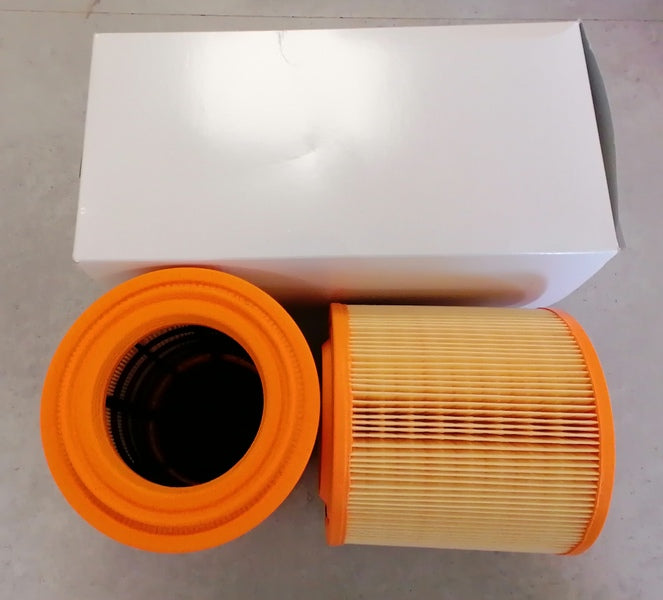 GENUINE AIR FILTER PACK OF 2