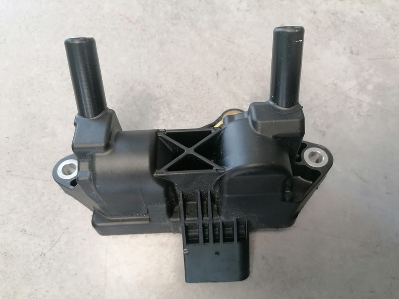 Image of IGNITION HT COIL PACK DOUBLE - V8