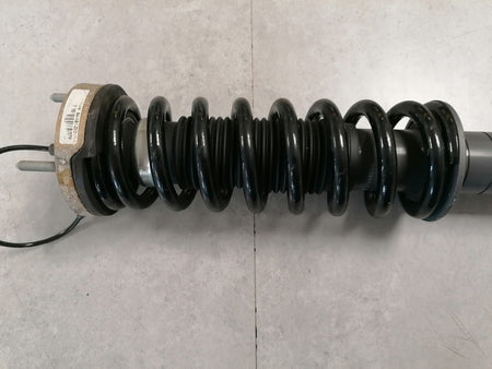 Image of FRONT DAMPER SHOCK ABSORBER STRUT ASSEMBLY WITH SPRING ASSEMBLY
