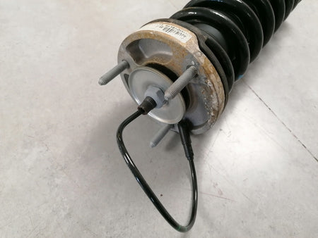 Image of FRONT DAMPER SHOCK ABSORBER STRUT ASSEMBLY WITH SPRING ASSEMBLY