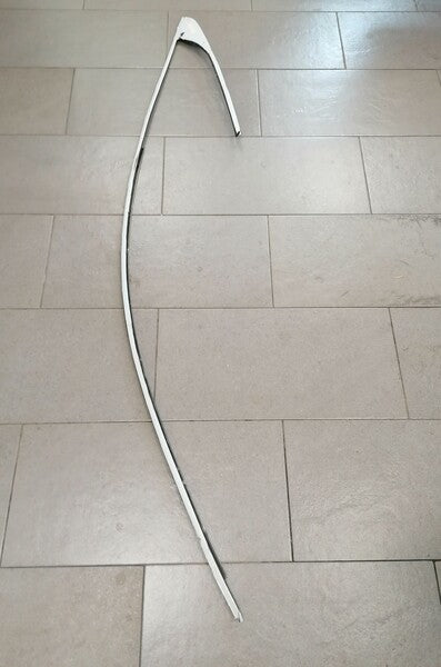 Image of ROOF GUTTER CHROME MOULDING TRIM LEFT HAND