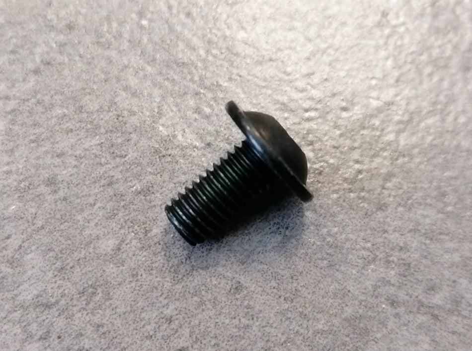 Screw, M5 x 10, Flange Torx Pan Head