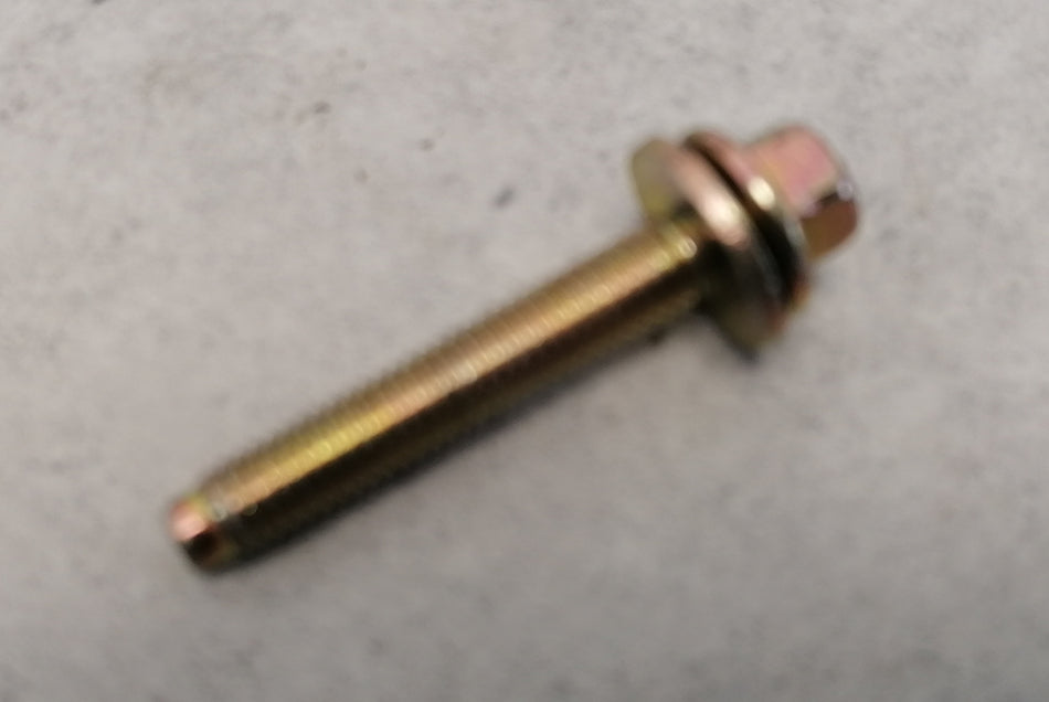 Screw and washer, M6x35
