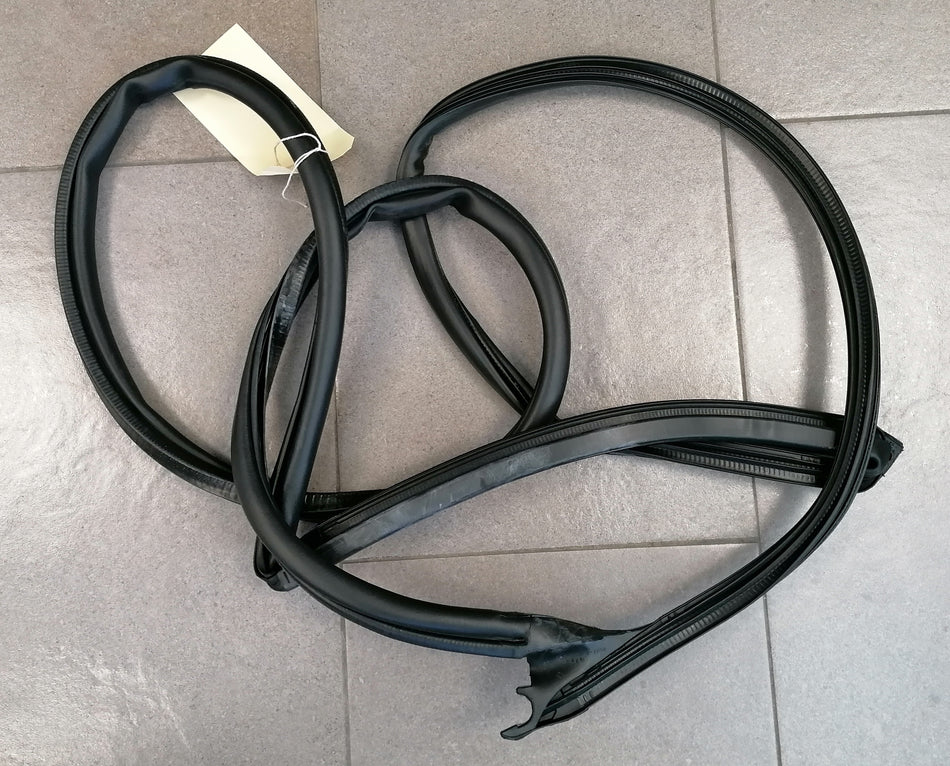 LEFT DOOR SEAL COUPE