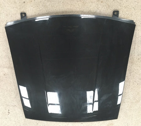 Image of ROOF SKIN CARBON FOR COUPE