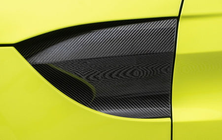 CARBON FIBRE SIDE FENDER PANEL GILL KIT